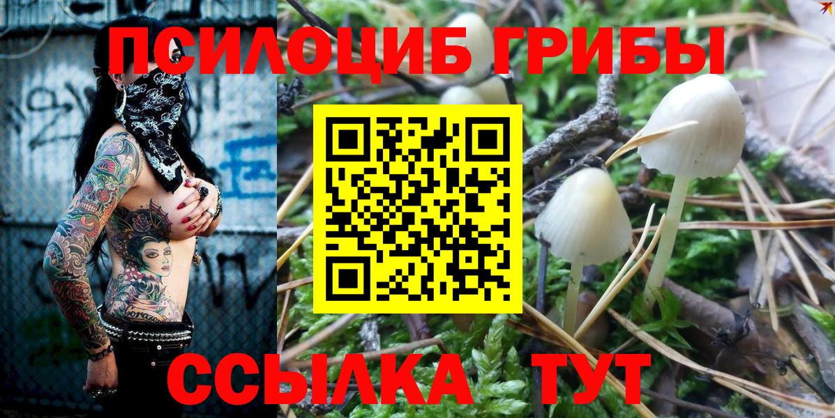 Янаул  Галлюциногенные грибы прущие грибы  Галлюциногенные грибы ЛСД  Вход с VPN 